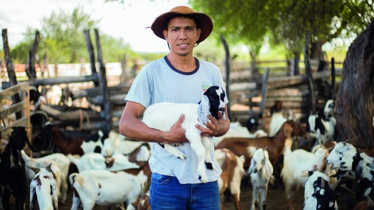 Productores caprinos de Ingeniero Juárez cobraron sus ventas
