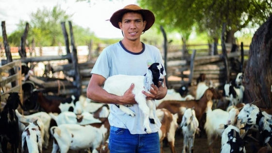 Productores caprinos de Ingeniero Juárez cobraron sus ventas