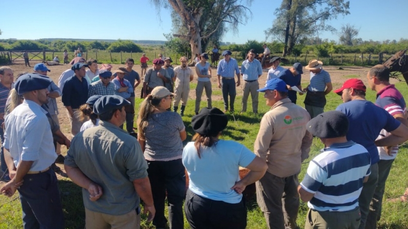 Corrientes: Curso de acreditación en garrapatas, inspección y despacho de tropas