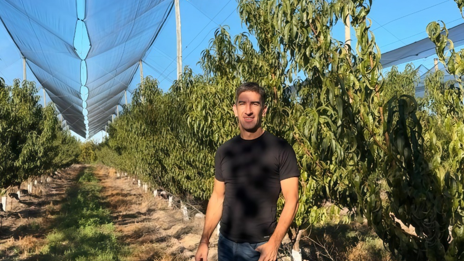 De Mendoza al mundo: cómo exporta fruta con tecnología única