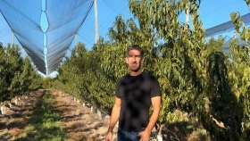 De Mendoza al mundo: cómo exporta fruta con tecnología única