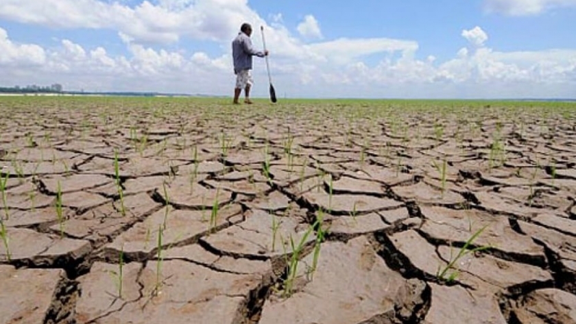 Neuquén, otra provincia con declaración de emergencia agropecuaria de alcance nacional