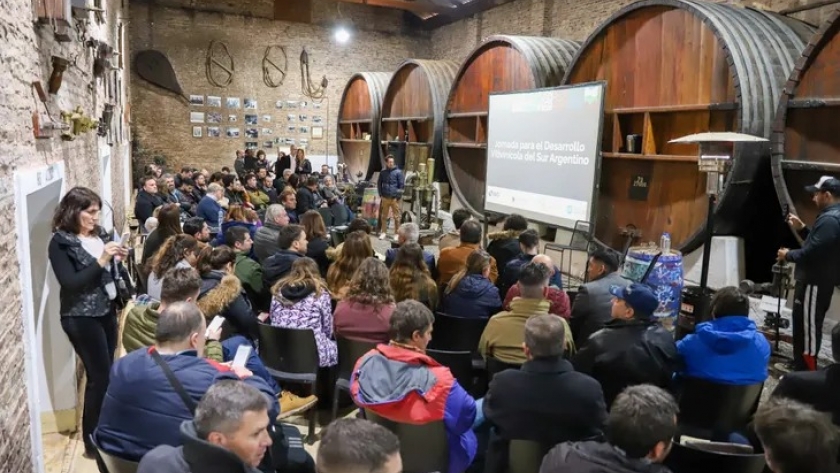 Destacan el enorme potencial que tienen los Vinos de la Patagonia