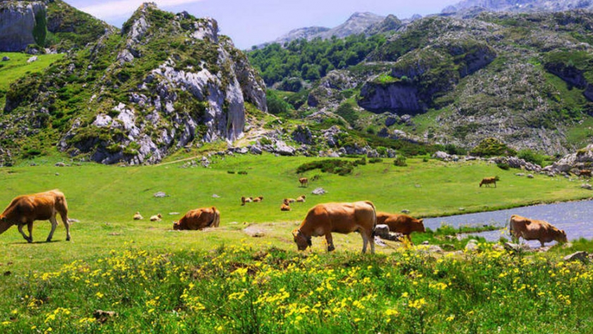 Ciclo de Turismo Rural: la experiencia en La Pampa y Chaco