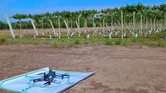 <Un nuevo estándar para el agro digital: lanzan el Protocolo Procisur de Verificación y Validación AgTech