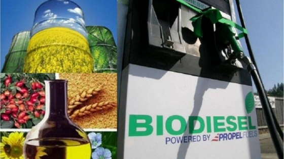 El biodiesel argentino enfrenta su peor año desde 2008: desplome productivo y freno exportador