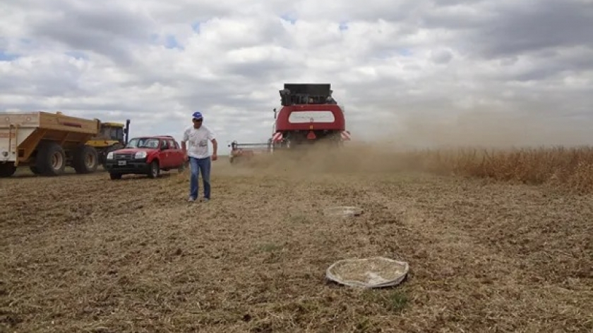 Video: 7 marcas de cosechadoras presentaron pruebas a campo para reducir pérdidas de hasta 142 kg/ha en soja