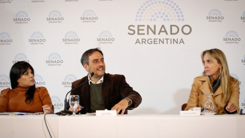Cabandié inició la capacitación ambiental para el Senado en el ámbito de la Ley Yolanda