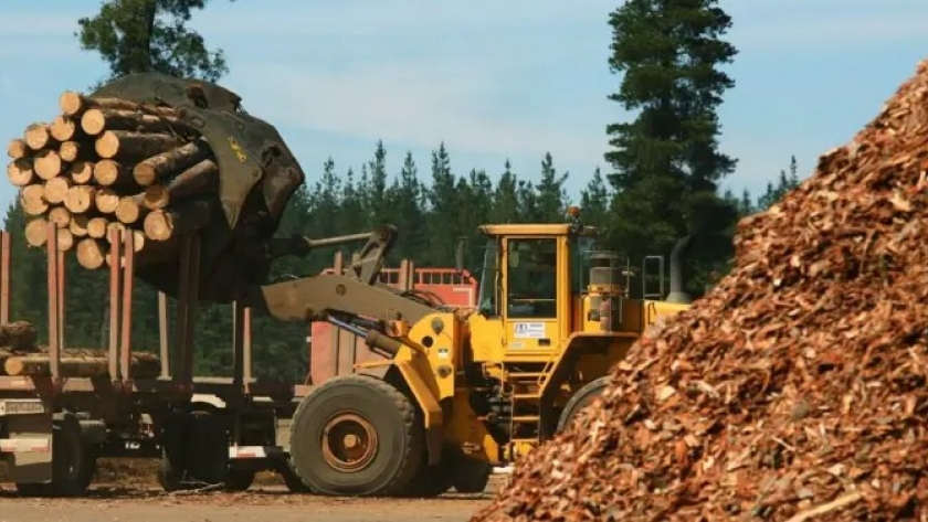 Misiones en alerta: vacaciones anticipadas para empleados de la industria maderera