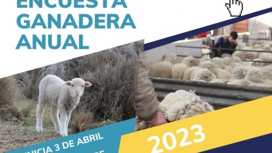 El Gobierno del Chubut recuerda que se encuentra vigente la Encuesta Pecuaria 2023