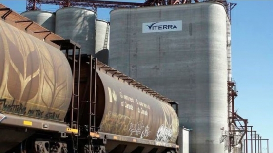 Canadá aprueba la fusión entre Bunge y Viterra: condiciones y proyecciones para 2025