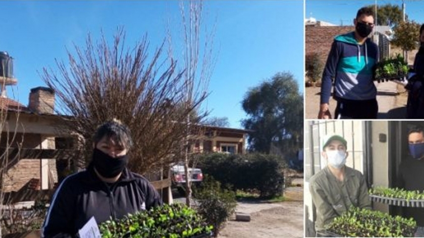 En julio Sol Puntano vendió 500 bandejas hortícolas