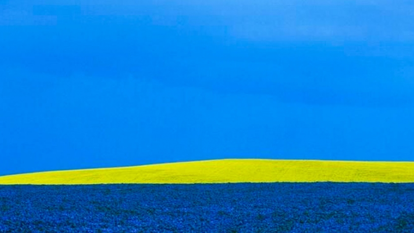 Celeste y oro, el color de los campos (algunos) de Entre Ríos