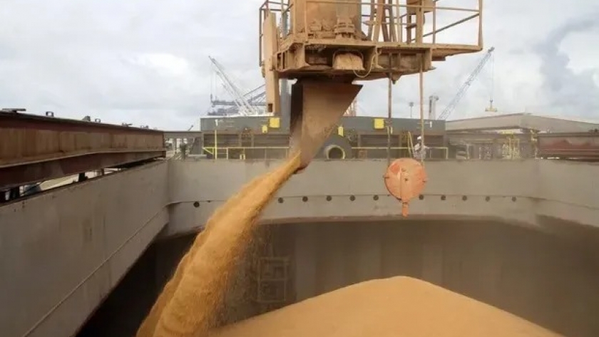 Brasil, a un paso de ser el principal exportador de harina de soja y quedarse con el histórico lugar de Argentina