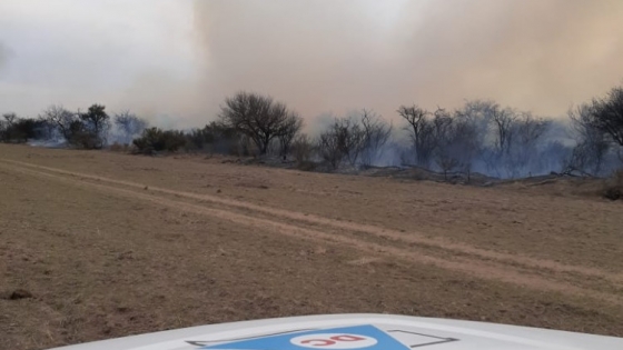 Se contuvieron incendios en varias zonas de la Provincia de La Pampa