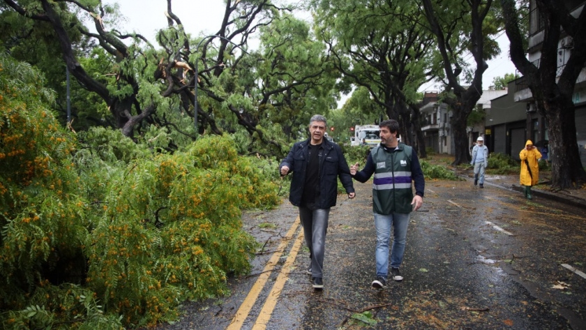 Temporal en la Ciudad: siguen los operativos en las calles con más de 800 personas