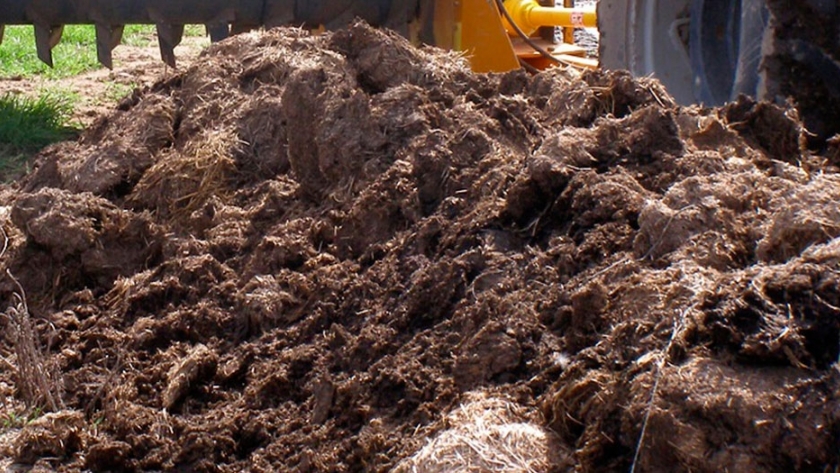 Compost de estiércol bovino y vinaza