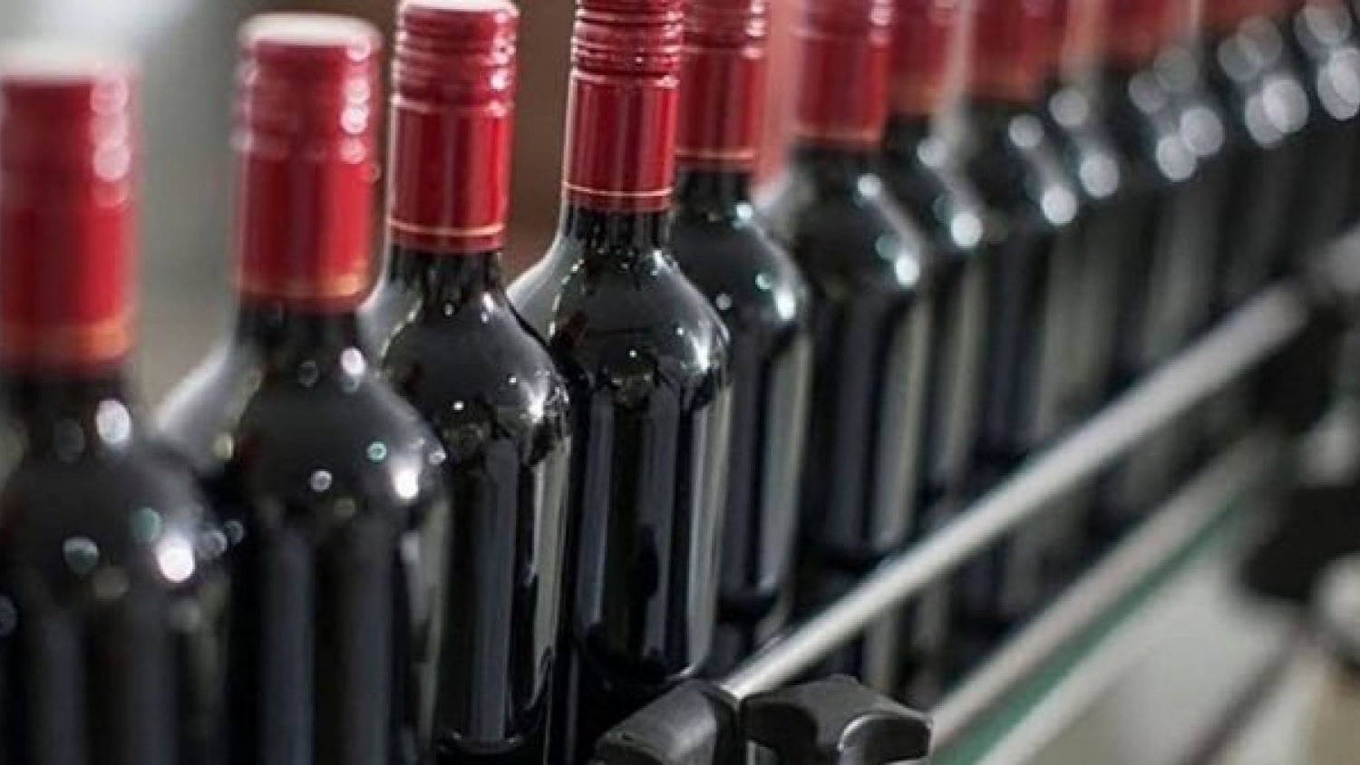 Fuerte repunte de exportaciones impulsa al vino argentino en el inicio de 2026