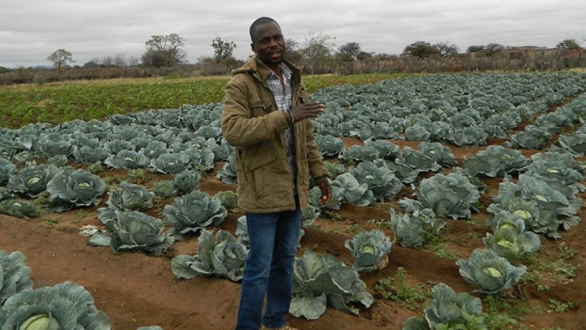 En África, los agricultores aprenden nuevos métodos para hacer frente a las sequías e inundaciones