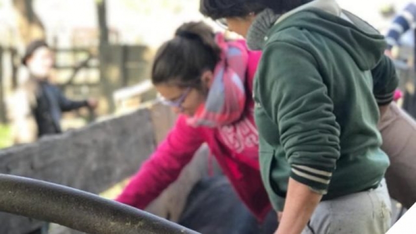 6 de agosto: día de la Educación Agropecuaria