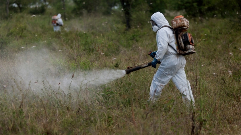 Guía para el buen uso de productos fitosanitarios en el control de langostas y tucuras