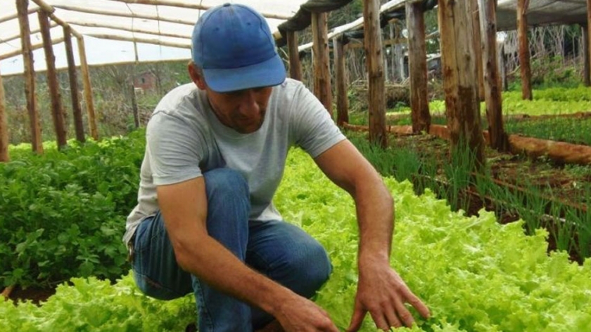 Renspa: actualización automática a los agricultores familiares que producen frutas y hortalizas