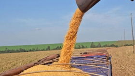 Paraguay: Exportación de maíz crece 91% y tiene mayor mercado