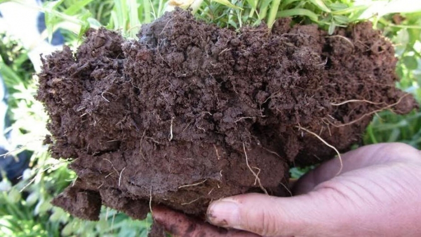 Australia necesita más carbono en su suelo para ayudar a los agricultores a superar la sequía