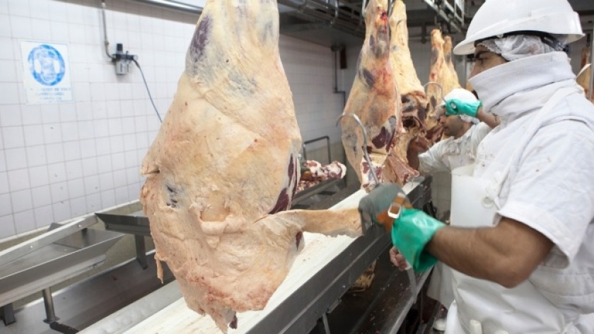 Comenzó a bajar la faena vacuna, suben los precios y se espera una caída significativa del consumo de carne en 2024