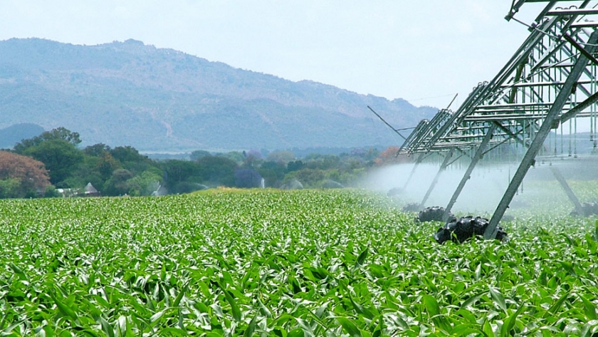 La renta agraria crece un 4,3 % durante 2020 en España y alcanza los 29.093 millones de euros