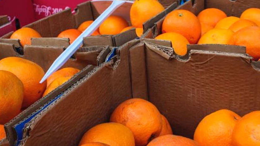 Significativo aumento de la producción mundial de naranjas en 2020/2021