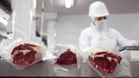 Cepo a las exportaciones de carne: se registraron pérdidas por más de US$1.000 millones
