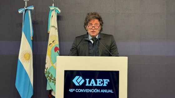 Javier Milei, a la ex Presidente: 