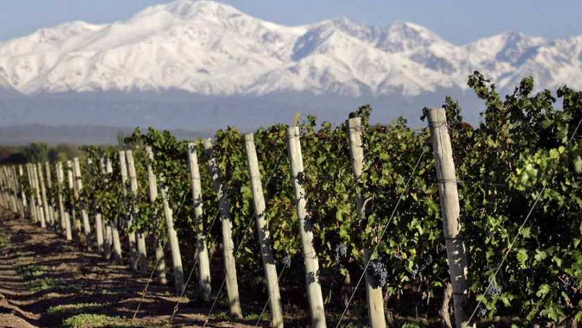 "La Ruta del Vino más larga del mundo" entre Chile y Argentina