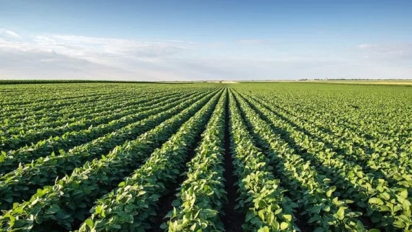 Futuros de soja suben por preocupaciones climáticas en Brasil y recorte de tasas de la Fed