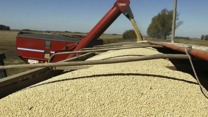 Resta comercializar hasta 12 millones de toneladas