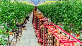 La transformación del agro holandés, posibilidades para Argentina
