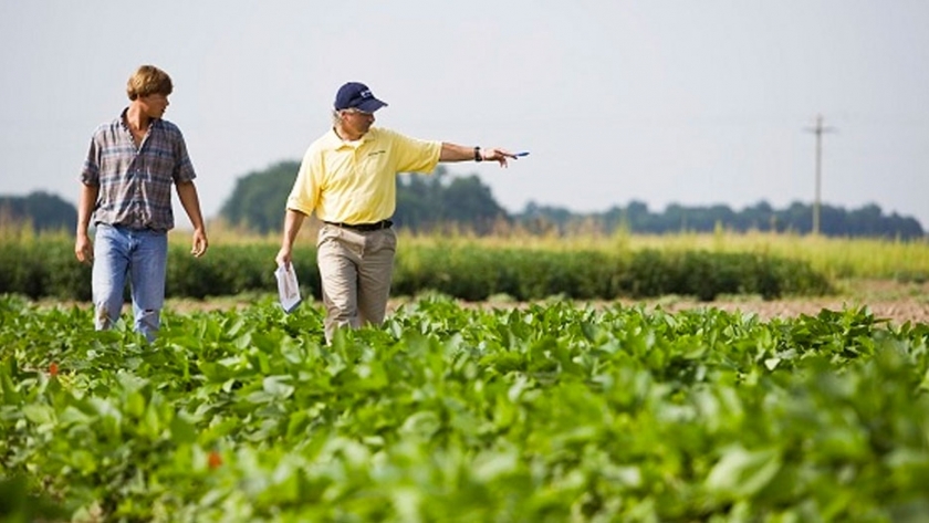 Alcances de los títulos de agronomía