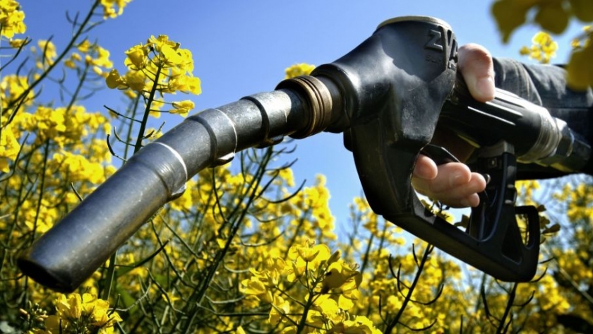 El biodiesel argentino pierde participación global: del 7,8% al 1,8% en solo 7 años