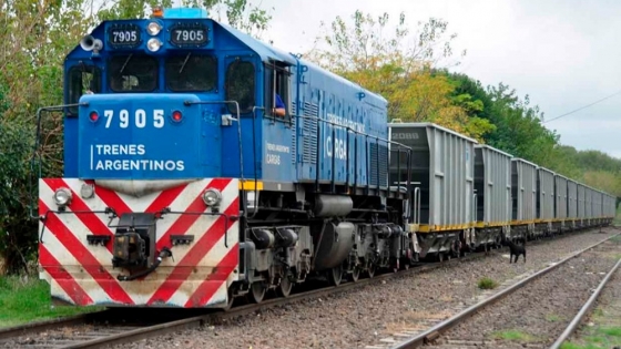 Trenes Argentinos lanza una licitación para adquirir 180 vagones de transporte de granos