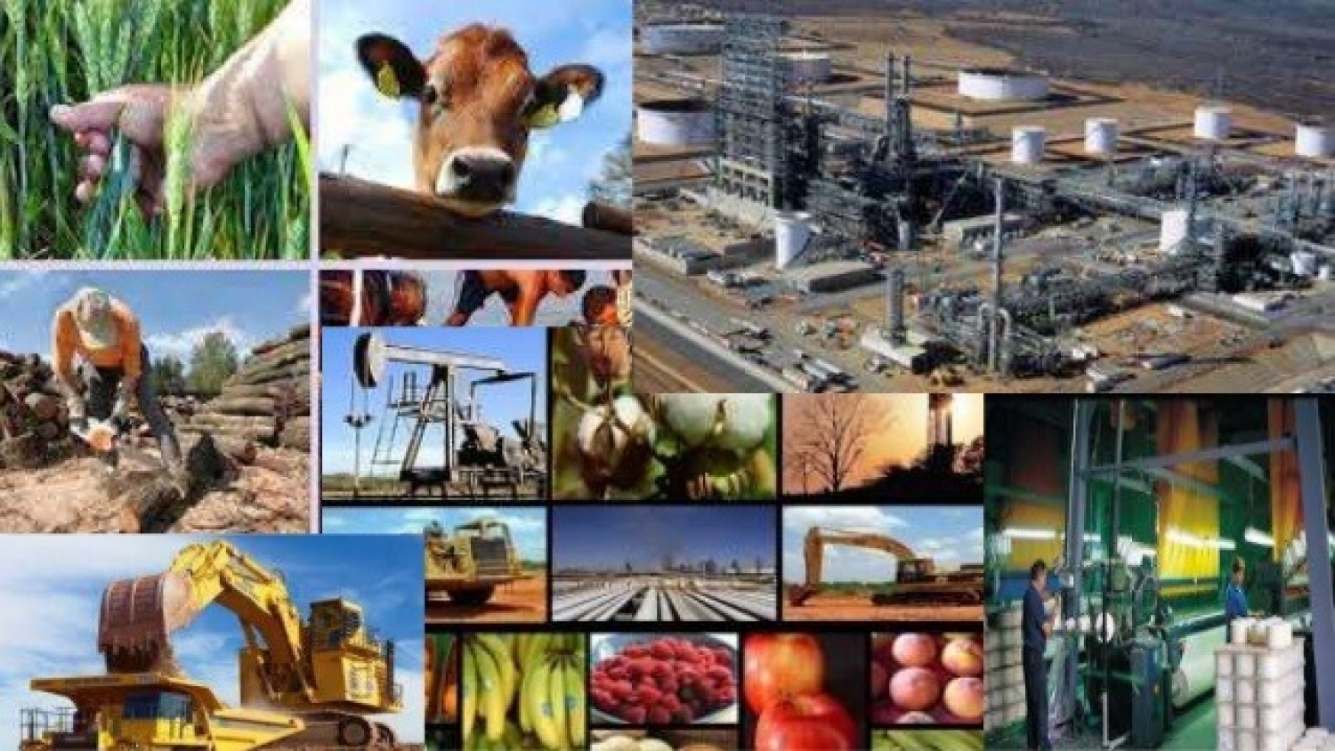 La Argentina adapta sus exportaciones agroindustriales a las nuevas exigencias ambientales de Europa
