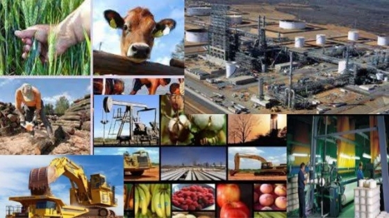 La Argentina adapta sus exportaciones agroindustriales a las nuevas exigencias ambientales de Europa