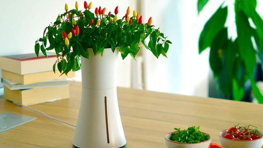Botanium, una jardinería no tradicional