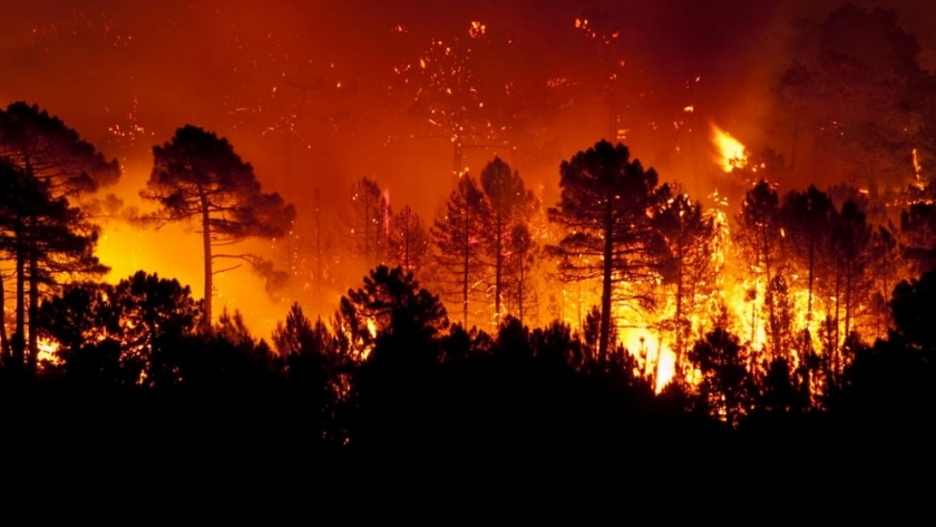 “Las lluvias colaboran en frenar el avance del fuego de los incendios” analizaron desde el INTA