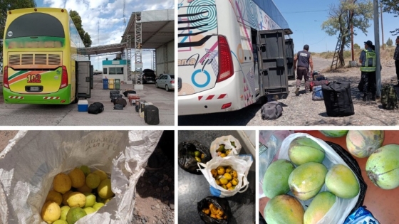 Acciones de control en transportes de pasajeros que ingresan a la Patagonia