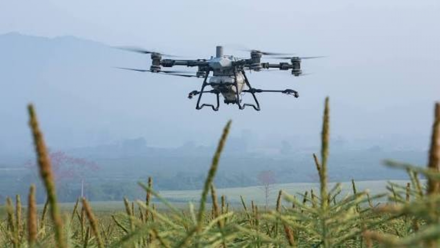 Drones, inteligencia artificial y agro: el INTA muestra en Tucumán cómo evoluciona la tecnología aplicada al territorio