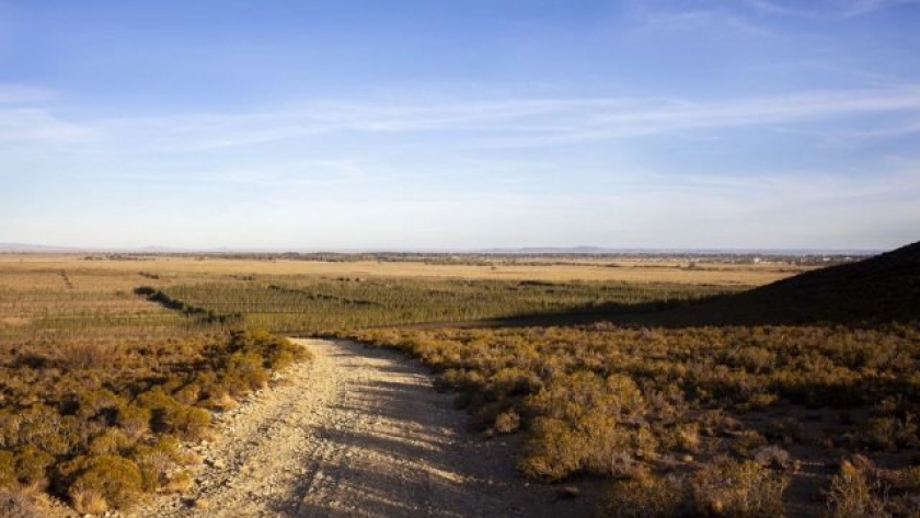Sarmiento, nueva Indicación Geográfica para vinos