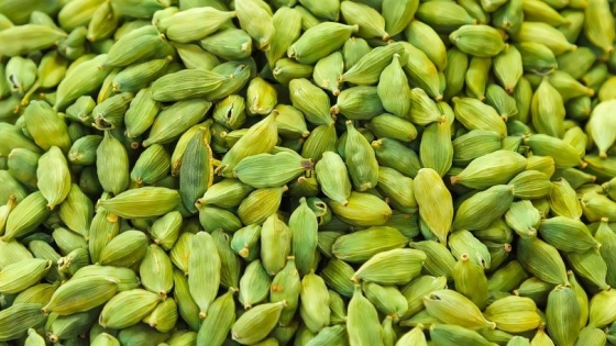 La tecnología intenta salvar al cardamomo, el cultivo más difícil del mundo