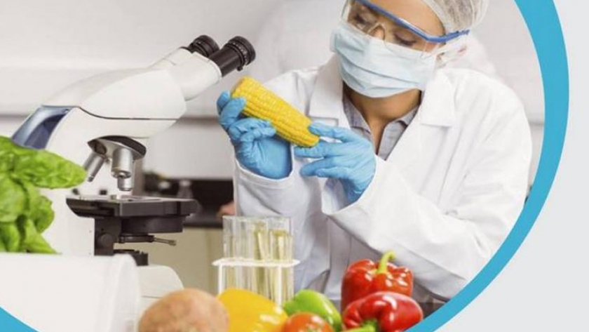 ¿Cómo manipular y elaborar alimentos inocuos?