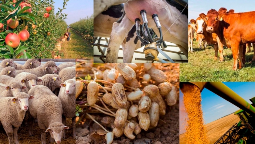 Las economías agropecuarias empeoraron su situación